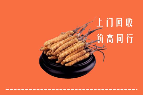 高价求购：石家庄行唐回收散虫草
