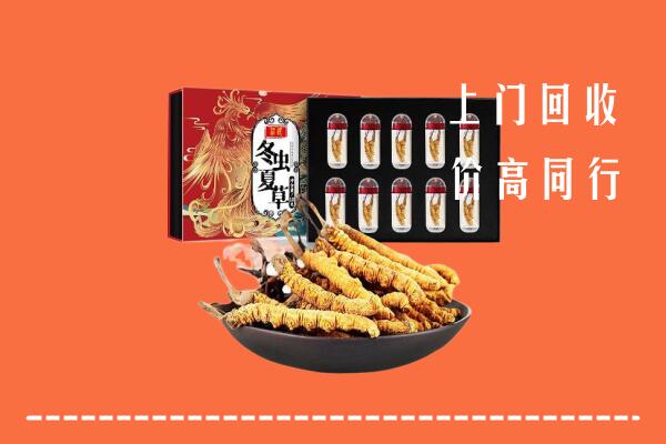 石家庄行唐高价回收虫草